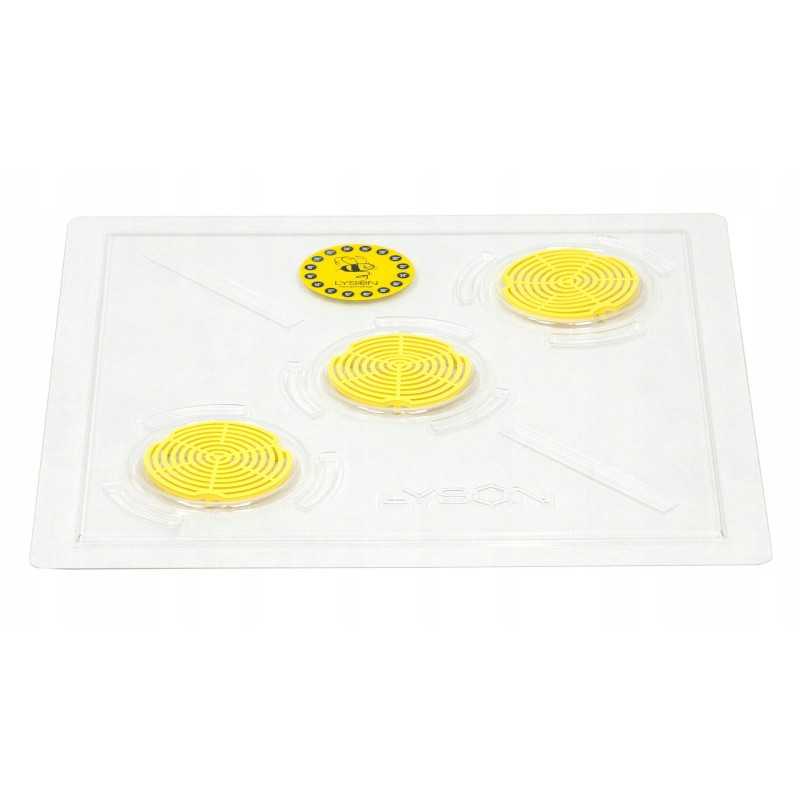 Skaidrios, 10 rėmų Wielkopolska lubos, plastikinės