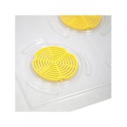 Skaidrus dangtelis, 10 kadrų dadant/12 kadrų Greater Poland