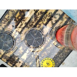 Skaidrus plastikinis dangtelis