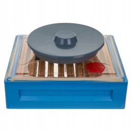 Skaidrus dangtelis su termometru Dadant 10 / Wielkopolska 12 - brctech