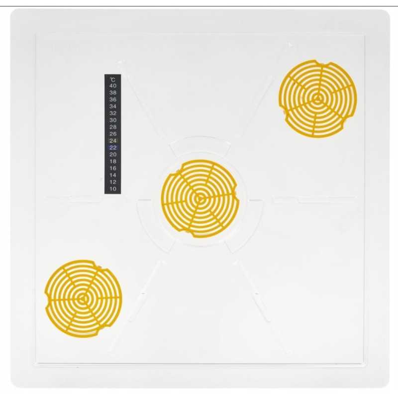 Skaidrus lubų dangtis Didžiajai Lenkijai, 10 rėmų, plastikinis, 3 skylės