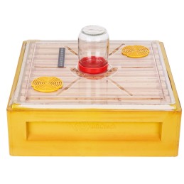 Skaidrus lubų dangtis Didžiajai Lenkijai, 10 rėmų, plastikinis, 3 skylės