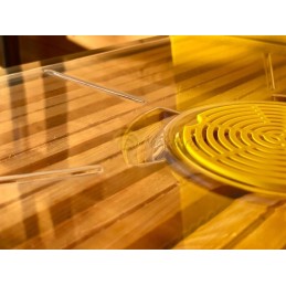 Skaidrus dangtelis su termometru Greater Poland 10 + spider