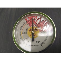 Analoginis termometras su rudu zondu 0-250 °C