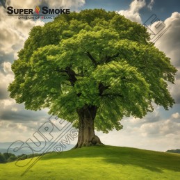 Supersmoke rūkymo traškučiai, buko + alksnio mišinys, dydis: s, 6 litrų doypack