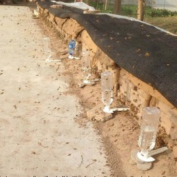 5vnt bičių lesyklėlės medaus dozatorius