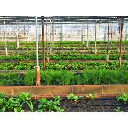 Inkarai agrotekstilei - rinkinyje 50 vnt.