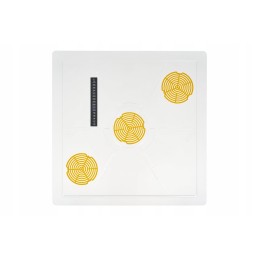 Skaidrus dangtelis su termometru, Wielkopolska - brctech