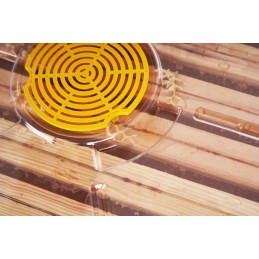 Skaidrus dangtelis su termometru, Wielkopolska - brctech