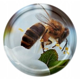 Siūlome dangtelius / dangtelius - skersmuo 82 mm / 6 kabliukai, 50 vnt - labai geri dangteliai!