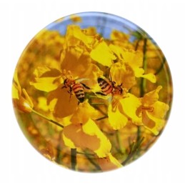 Siūlome dangtelius / dangtelius - skersmuo 82 mm / 6 kabliukai, 50 vnt - labai geri dangteliai!