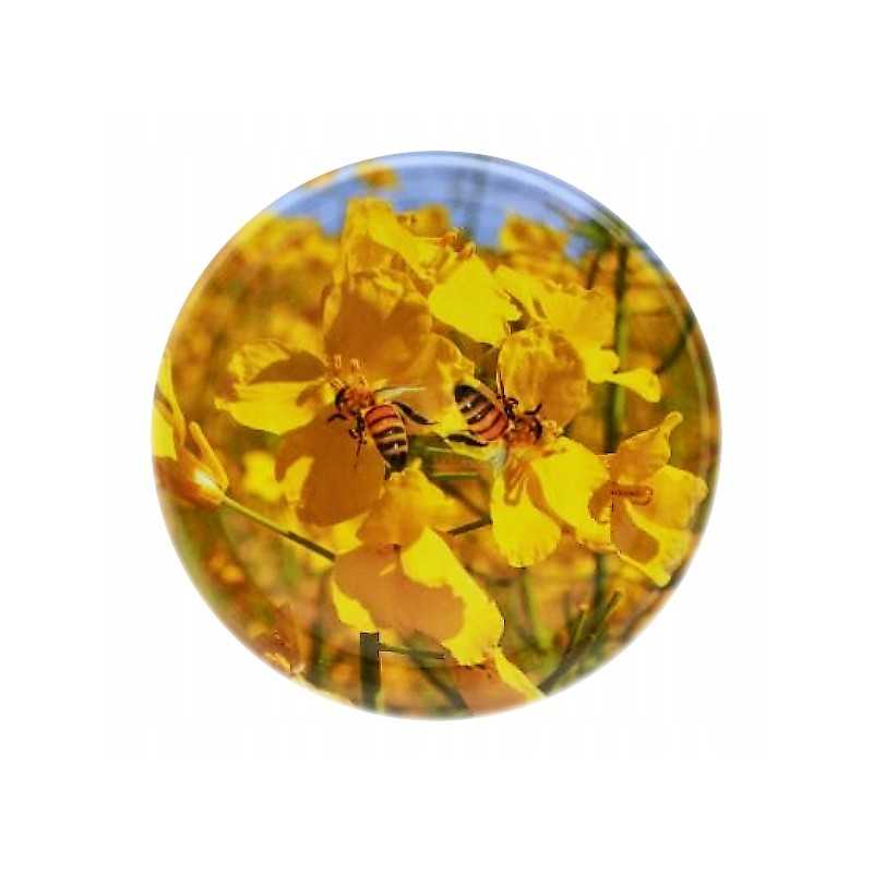 Siūlome dangtelius / dangtelius - skersmuo 82 mm / 6 kabliukai, 50 vnt - labai geri dangteliai!