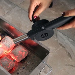 Handheld blower for lighting a grill fire
