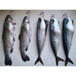 Rūkymo kabliukas, 10 vienetų rinkinys, dvigubas kabliukas 12 cm, storis 2,4 mm inox