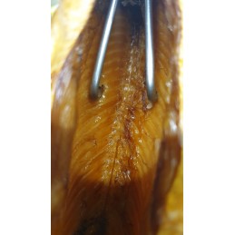 H 313 p kabliukas 13cm rūkymo kabliukai žuviai rūkyti