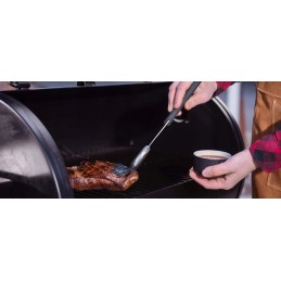 Virtuvinis grilio šepetys su aukščiausios kokybės silikoniniais šereliais – mustangas