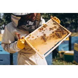 Apsauginės iki alkūnės bitininkavimo pirštinės iš bičių ožkos odos