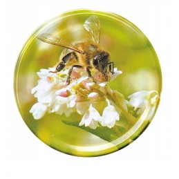 Medaus indelių dangteliai (50 vnt.)