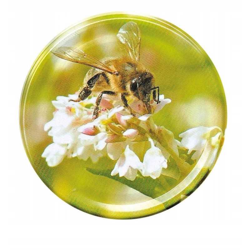 Medaus indelių dangteliai (50 vnt.)