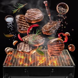 Turistinė sulankstoma anglių kepsninė, sodo lagaminas, chromuotos grotelės