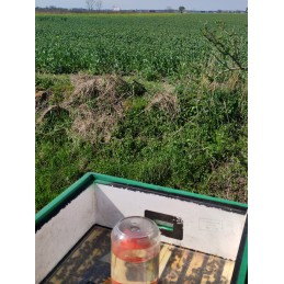 skaidrus higieninis užvalkalas 10 rėmų Wielkopolska bitynui