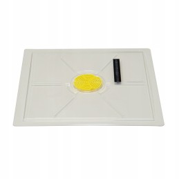 skaidrus higieninis užvalkalas 10 rėmų Wielkopolska bitynui