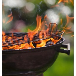 Ekologinis degiklis (pilkas), 32 fenikso kubeliai, 10 vnt