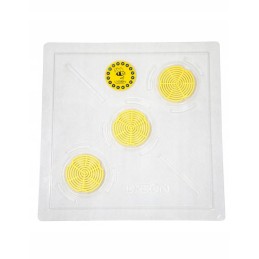 Skaidrios, 10 rėmų Wielkopolska lubos, plastikinės