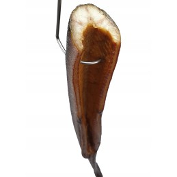 W-315 kabliukas, įsukami žuvies rūkymo kabliukai, dideli, 5 vnt