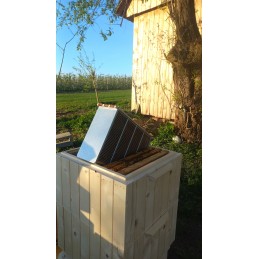 Parduodamos nesėklinos bičių motinėlės Krinka line Karolinka.