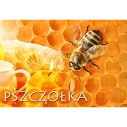 Bičių karalienės sklenar sloperoffer ct83