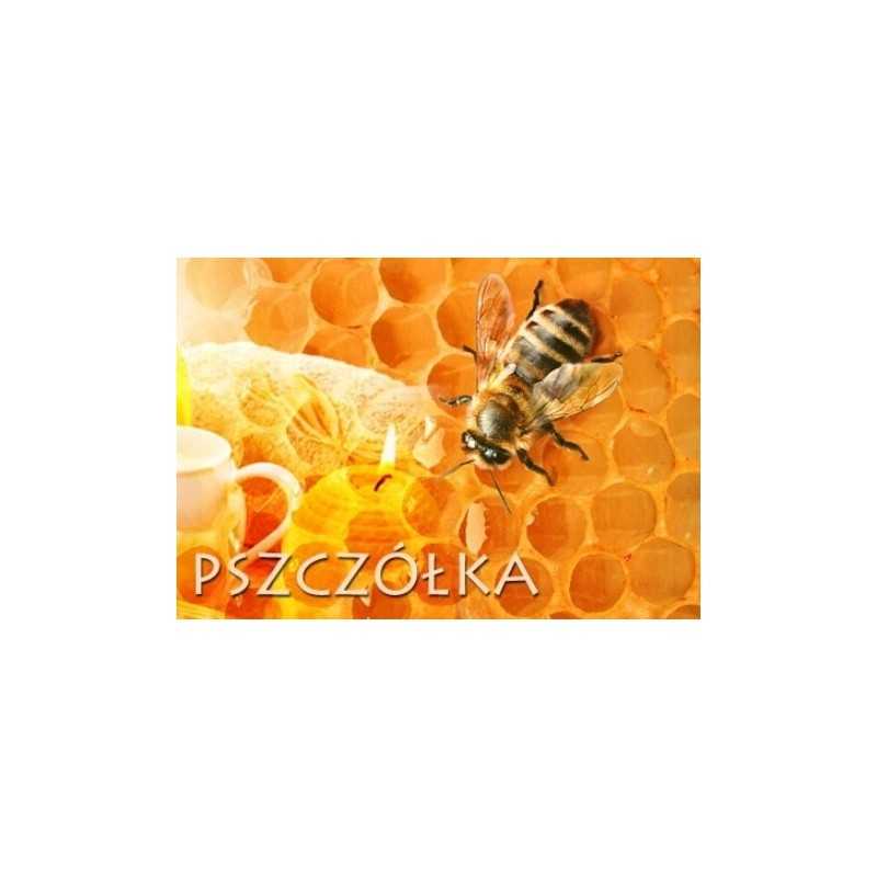 Bičių karalienės sklenar sloperoffer ct83