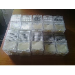 Artimiausios perėjimo datos: