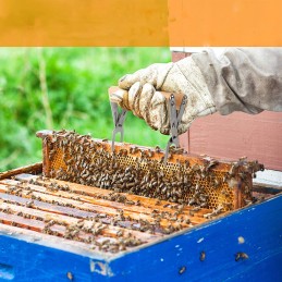 Rėmo gaudyklė su nerūdijančio plieno medine rankena