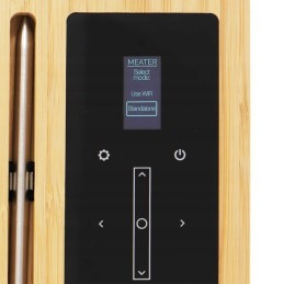 Belaidis mėsos bloko termometras