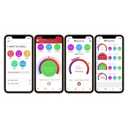 Belaidis mėsos bloko termometras