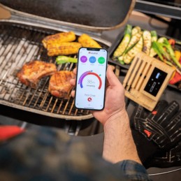 Meater blokas - belaidis mėsos termometras.