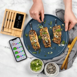 Meater blokas - belaidis mėsos termometras.