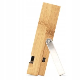 Belaidis mėsos bloko termometras