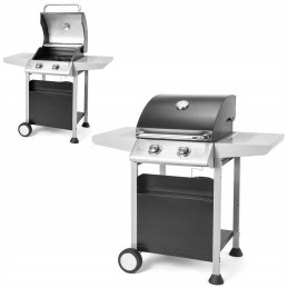 ⭐⭐⭐fieldmann fzg 3102 sodo dujinis grilis, 2 degikliai⭐⭐⭐