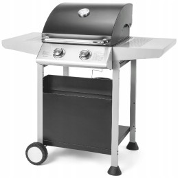 ⭐⭐⭐fieldmann fzg 3102 sodo dujinis grilis, 2 degikliai⭐⭐⭐