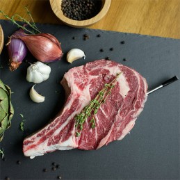 Meaterio blokas - belaidis termometras su 4 zondais