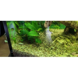 pH testeris, lakmusa papīrs, mērīšana iso trade 0 15 kg