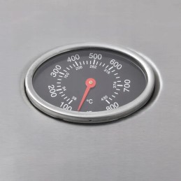 Vidaxl dujinis grilis su 4 kaitvietėmis 1, sidabrinė