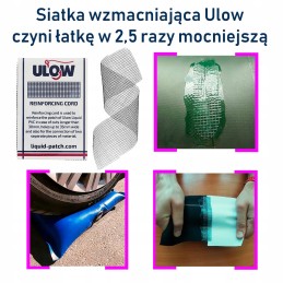 Pastiprinošs siets vasaras sikspārnim šķidrā bišu stropā