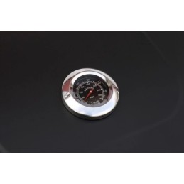 ⭐⭐Sodo anglis grilis su ketaus Landmann grotelėmis⭐⭐