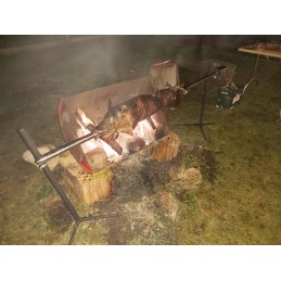 Automatinė rožė su nerūdijančio plieno varikliu, 207x45x81 cm, Lumarko