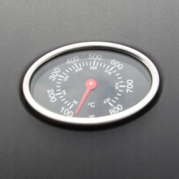 Vidaxl dujinis grilis su 4 kaitvietėmis 1, juodas