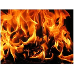 Baltas pakuras, 40 kubelių