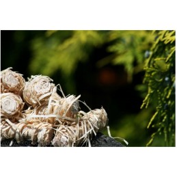 Ekologinis žiebtuvėlis šašlykui, židiniui, boileriui, laužui, 500g maišelis